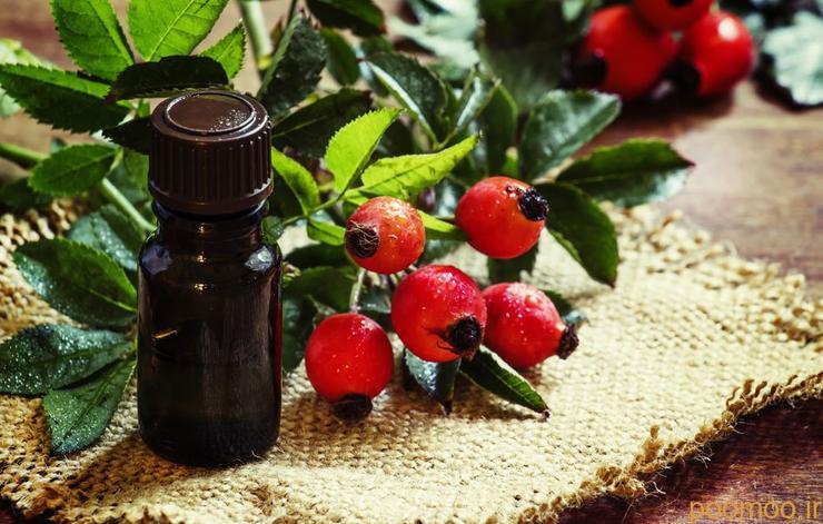 بهترین روغن برای جوانی پوست,faceoil-rosehip-روغن گل رز