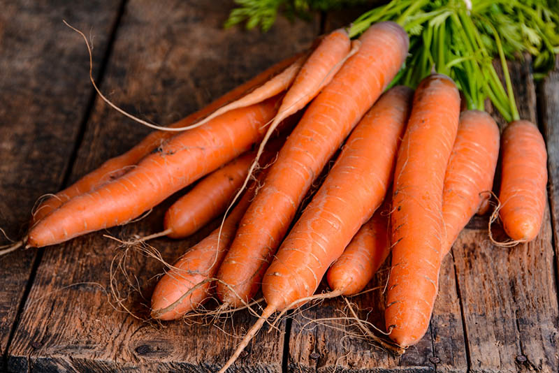 دومین سبزی ارزشمند برای افزایش رشد مو هویج است. هویج سرشار از ویتامین B7 یا بیوتین است. همانطور که می‌دانید برای داشتن موی سالم مصرف بیوتین ضروری است. این ویتامین علاوه بر رشد مو ریشه موها را تقویت کرده و از ریزش آن‌ها جلوگیری می‌کند.
